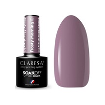 Claresa Kalıcı Oje Frosty Morning 10 Pastel Mor 5gr
