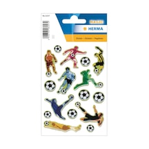 Herma Magıc Etiket Stone Futbol
