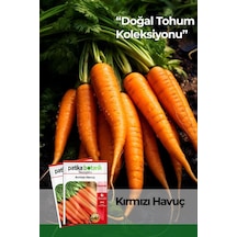 2000 Adet Kırmızı Havuç Tohumu