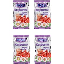 Poli Toz İçecek Kuşburnu 300 Gr X 4 Adet 300 G