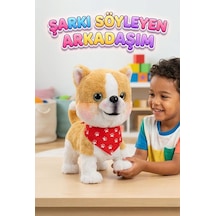 Sarı