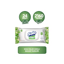 Solo Islak Havlu Bahar Tazeliği 2160 Yaprak Kapaklı