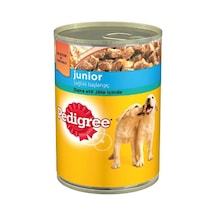 Pedigree Junior Dana Etli Konserve Yavru Köpek Maması 400 G
