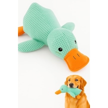 Köpek Oyuncağı Ördek Şekilli Peluş Sesli Ve Hışırtılı Dayanıklı Çiğneme Ve Isırma Oyuncağı Anti Stres Yumuşak Peluş Köpek Eğitim Ve Oyun Oyuncağı Yeşil