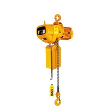 Lion 1 Ton 6 Metre Elektrikli Zincirli Vinç - 380 V