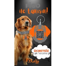 Petjoo 27.Figo Turuncu-Gri Qr'lı Köpek Künyesi