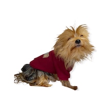 Kemique Bb Limited Kapşonlu Köpek Sweatshirt