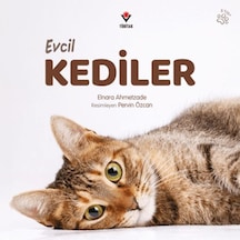 Evcil Kediler - Aıaı-837226