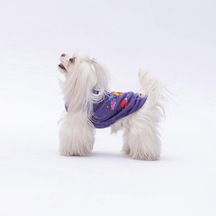 Pawstar Mor Space Time T-shirt Küçük Irk