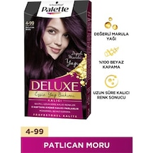 Palette Deluxe Saç Boyası 4.99 Patlıcan Moru
