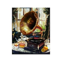 Sarhoş Gramafon Sticker Çerçevesiz 60x75 Bul-boya Seti