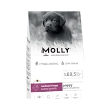 Molly Medium Large Puppy Kuzu Etli Yaban Mersinli Yavru Köpek Maması 2 KG