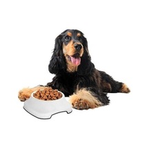Büro Ev Evcil Hayvanı İçin 2lt Kaydırmaz Taban Silikon Kedi Köpek Mama Su Kabı