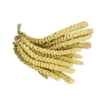 Doğal Dal Darı Sarı Dal Darı Standart Boy 160 Gr