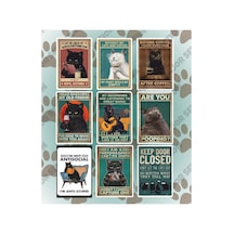 Ms Major Selection Cats Kedi Meme Mizah Temalı Laptop Tablet Telefon Defter Sticker Seti 9 Adet Abanoz