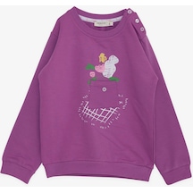 Breeze Kız Çocuk Sweatshirt Cepli Çiçek Baskılı 1-4 Yaş, Eflatun-eflatun Eflatun