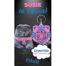 Petjoo 3.Susie Mavi-Pembe Qr'lı Kedi Künyesi