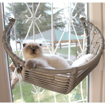 Homedora Harold Kedi Cam Yatağı & Cam Askılı Vantuzlu Kedi Yatağı