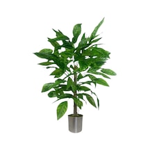 110 Cm Ceviz Ağaçı Dogal Gövdeli Metal Plastık Saksı Yeşil