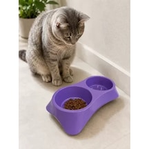 Hubrendy Sh İkili Model Beton Kedi Köpek Mama Ve Su Kabı 24cm 12cm 5cm - Mor