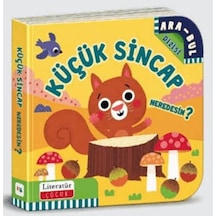 Küçük Sincap Neredesin Ciltli
