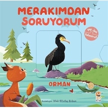 Sincap Kitap Merakımdan Soruyorum / Orman