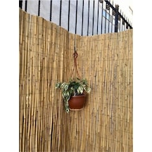 Bambu Çit Kamış Çit 1X4,5 M Rulo Çit Rulo Bahçe Çit Hasır Çit