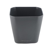 Serinova Kare Saksı 0.8 Lt 29928583