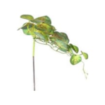 Yapay Bitki Salon Sarmaşığı Kızıl-yeşil 35 Cm. Çok Renkli