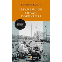 İstanbul'un Sokak Köpekleri - Kemalettin Kuzucu - Kapı Yayınları