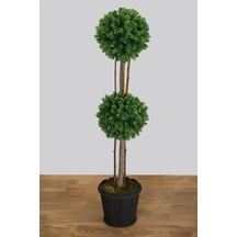 Ahşap Saksıda 2 Katlı Mini Top Çam 100 Cm