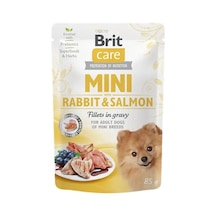 Brit Care Mini Irk Yetişkin Köpekler İçin Sos İçinde Tavşan Etli & Somon Balıklı Fileto Parçaları 85