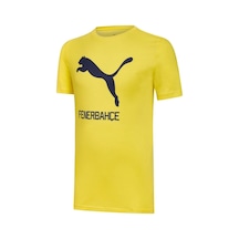 Fenerbahçe Puma Cat Tee Sarı Erkek Futbol T-Shirt Ahşap Kutulu Sarı