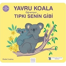 Yavru Koala Öğreniyor Tıpkı Senin Gibi / Elodie Coudray
