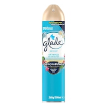 Aerosol Okyanus Sessizliği Oda Kokusu 300 Ml 1 X 300 Ml Diğer