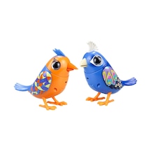 Digibirds İkili Paket Seri 1