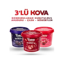 Freeze Dried Çilek, Böğürtlen Ahududu Kova 3'lü Paket Diğer