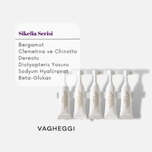 Vagheggi Sikelia Breast Concentrate 25 Ml