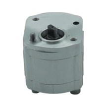 Rippa R13/r15/r22 Mini Ekskavatör Dişli Pompa Lp0101010028