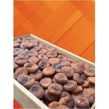 Gün Kurusu Organik 5 Kg Malatya'dan Kalite Ve Güvenin Adresi . Diğer