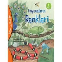 Hayvanların Renkleri - Bilim ve Merak - Alejandro Algarra - Tübitak Yayınları