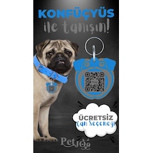 Petjoo 9.Konfüçyüs Gri-Mavi Qr'lı Köpek Künyesi
