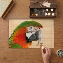 Yakın Çekim Papağan Tasarımı 240 Parça Ahşap Puzzle Ahşap Kutuda Mpy50364