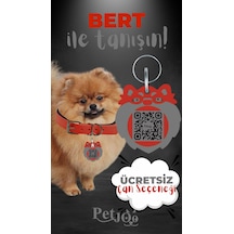 Petjoo 13.Bert Gri-Kırmızı Qr'lı Köpek Künyesi