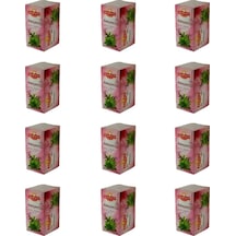 Günvit Adaçayı Bardak Poşet 12 x 20'li