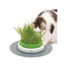 Grass Planter, Kedi Otu, Kapaklı Kedi Kazığı, 1 Adet Tekli Paket