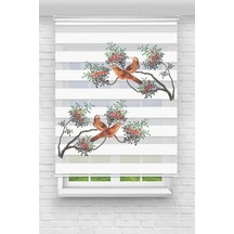 Perdeoutlet38 Baskılı Renkli Ağaçdaki Kuşlar Dijital Baskılı Zebra Perde-cocuk Odası-stor Perde Model:pz-774 Çok Renkli