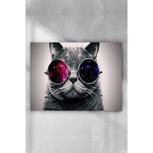 Kedi Eğlenceli Mizahi Poster