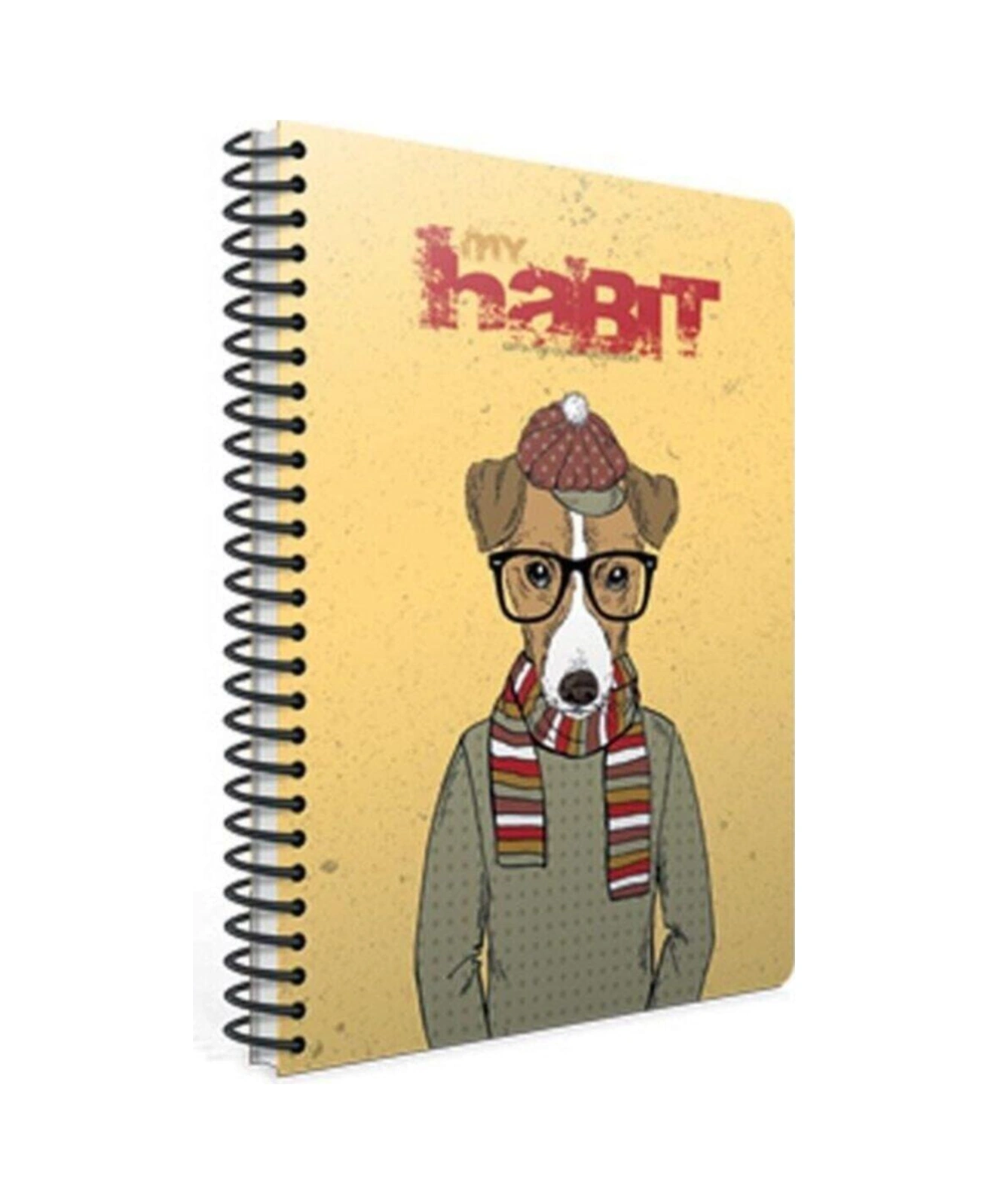 Habit Spiralli A4 80 Yaprak Kareli Defter Karışık