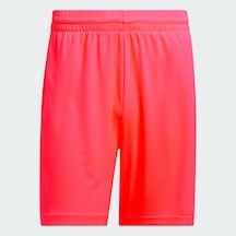 Adidas Bos Şort Solred